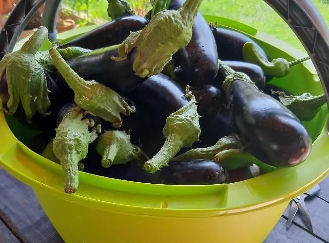 La Отель типа 