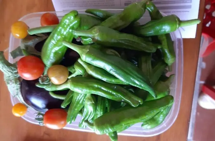 La Отель типа 