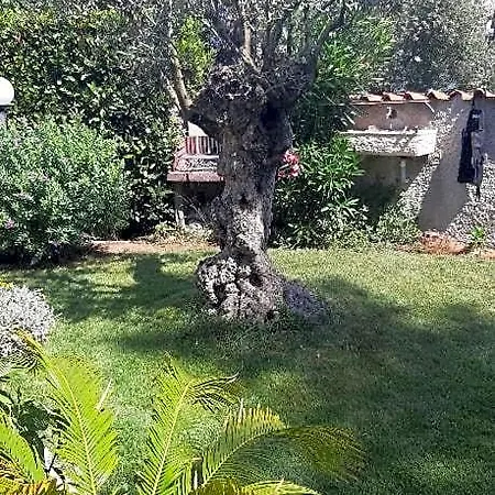 La Panzió Salerno