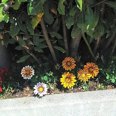 La